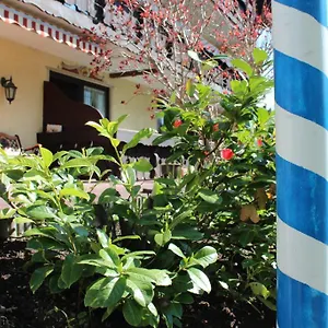 Maison d'hôtes Birkenhof Mit Herz, Pfronten